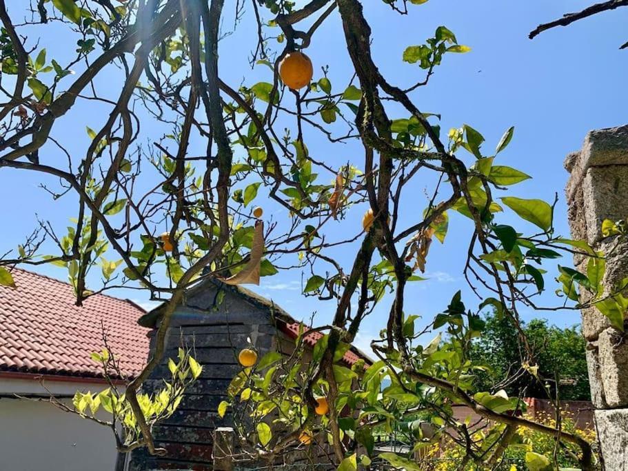 فيلا Casa Gerente موروس المظهر الخارجي الصورة